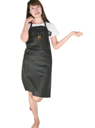 Dinshine Apron