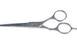 Echo Centre: CAR-55 Scissors