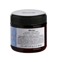 SILVER CONDITIONER 250ml